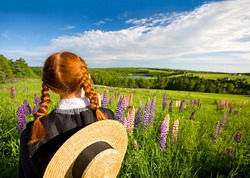 anne-of-green-gables resize