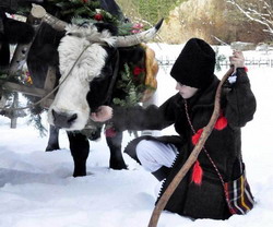 Plugusorul – badica Traian