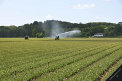 Alegatorii romani au nevoie de solutii pentru o agricultura productiva