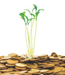 Management agricol performant in judetul Tulcea