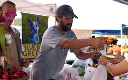 BlueDog market farm resize