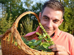 Omagiu taranului roman