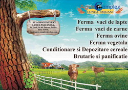 Sume record incasate de marii fermieri ai judetului Iasi