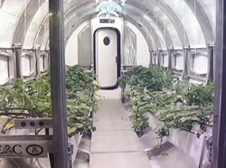 Sera de legume pe Luna