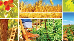 Recomandare-eveniment--Care-i-starea-agriculturii-in-Romania resize