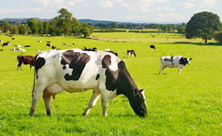 agricultrual hero resize