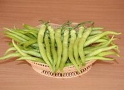 ardei iute linia1 resize