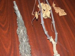 Cancerul vitei de vie face ravagii in Vrancea