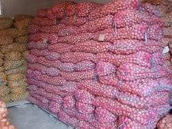 Cartofi de samanta din categorii biologice superioare