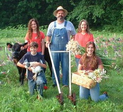 Sprijin pentru investii si alte facilitati ce vor fi acordate fermelor familiale