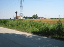 Perspective agricole in 2013 si noua politica agricola comuna la Focus on Agriculture