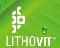 lithovit-logo