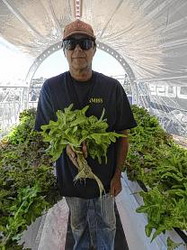 m72rv9-m72ri0lunargreenhouse008web resize