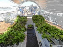 m72rv9-m72ri1lunargreenhouse005web resize