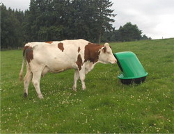 microfeeder 36 resize