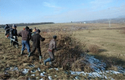 Curatirea si ingrijirea pasunilor concesionate o obligatie a crescatorilor de animale