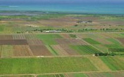 parcel-agricole resize