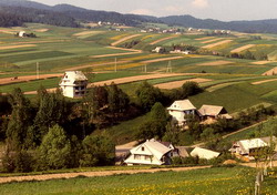 Polonia a interzis organismele modificate genetic