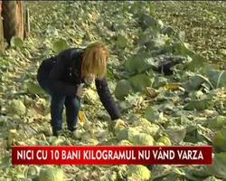 vara-ntreaga-degeaba-video-191173 resize