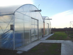 Pregatirea solariilor pentru infiintarea culturilor