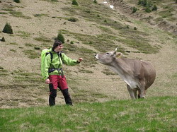 Calin cu Vaca resize