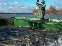 Fonduri de 3 milioane de euro in pescuit si acvacultura