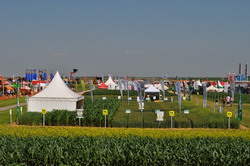 Agriplanta 2013 va avea loc la Fundulea