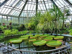 gb-bucuresti1 resize