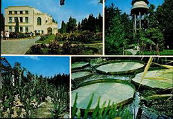 Gradini botanice in Romania