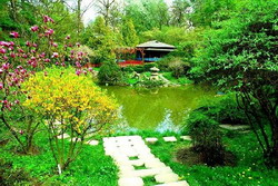 gradina botanica cluj resize