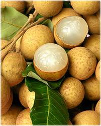 Fructul LONGAN – un stimulent al sanatatii