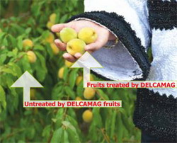 Eco Ferma, a fost prezenta la Biofach cu o editie speciala