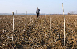 Parcela, ca o pista de bicicleta