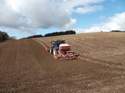 Urgenta I, semanatul cerealelor de primavara