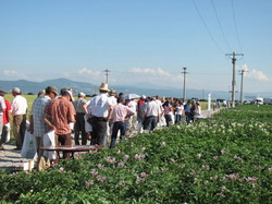 Preturile cresc si din lipsa unui sistem de servicii agricole