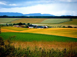 Romania va pierde trei miliarde de euro daca nu vor exista Camere Agricole