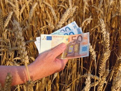 2,7 miliarde de lei au fost aprobati pentru agricultura prin Hotarare de Guvern