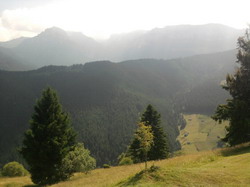 campulung-muscel resize