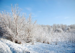 Ploi, lapovita si ninsoare in perioada 14 – 20 Martie 2013