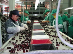 Persoanele fizice autorizate pot face parte din cooperativele agricole