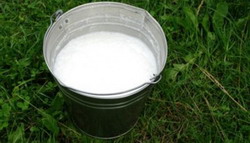 galeata-lapte resize