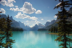 Caracterul multifunctional al padurilor