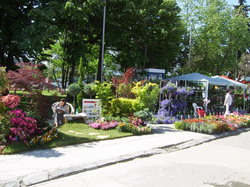 Ai o gradina si nu stii cum sa procedezi ?