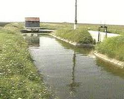 In Olt, fermierii nu-si permit sa irige culturile