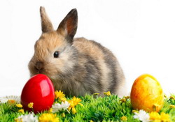 Simboluri si obiceiuri de Paste