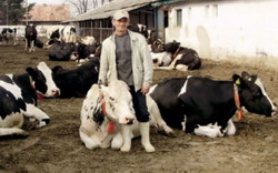 vaci-radomiresti resize