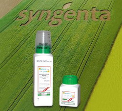 Combaterea ratisoarei porumbului cu ACTARA 25 WG