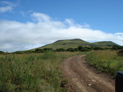 Proprietarii de terenuri agricole vor fi stimulati, din 2014