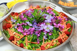 Harvest-salad resize