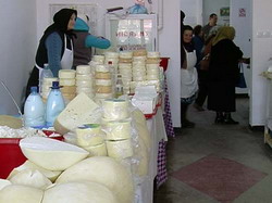 Lactate-piata resize